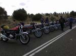 Z1 40th 2012 VIC (46)
